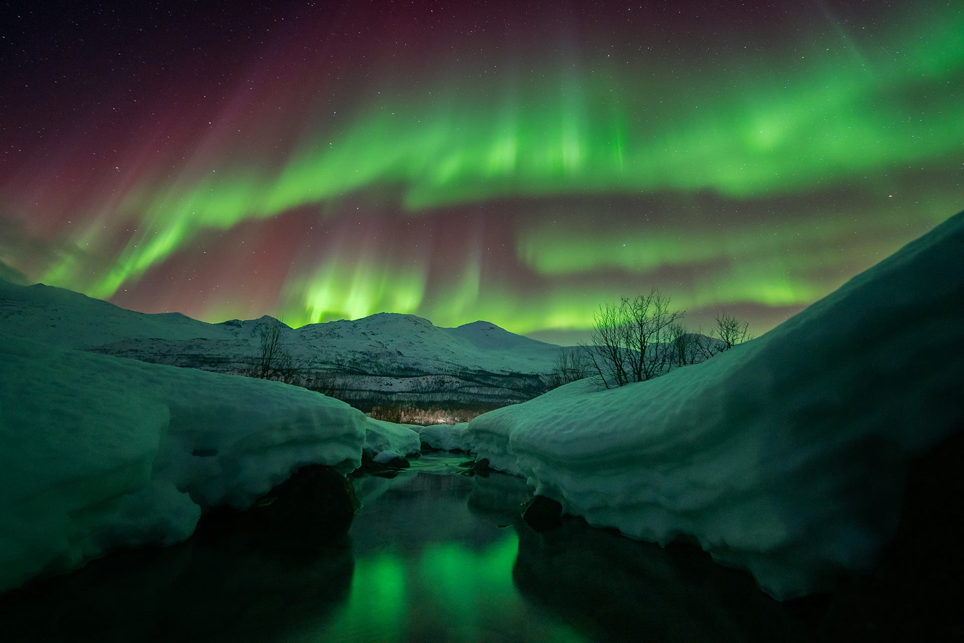 NorthernShots Tours Aurora Borealis Northern Lights Tromso