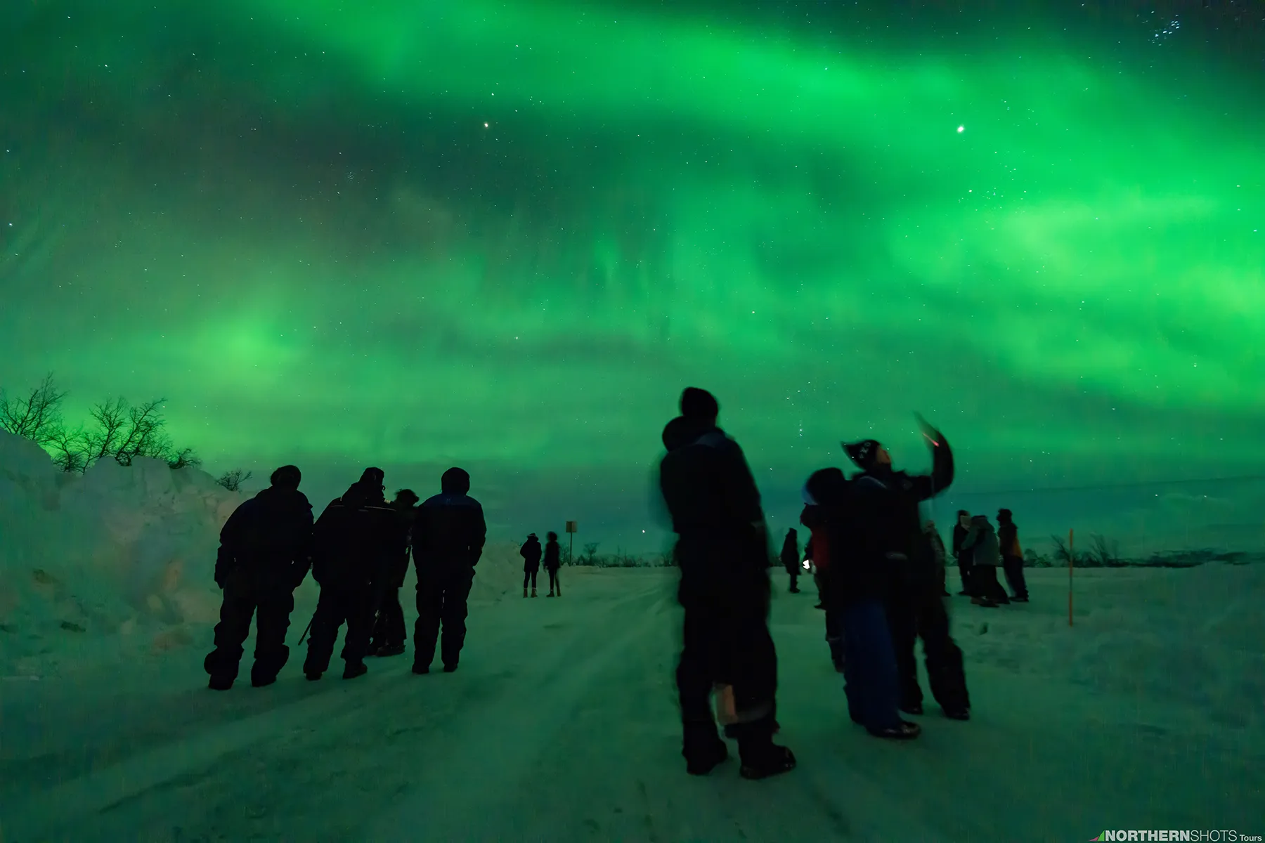 Groups of guests gazing at a full-sky Northern Lights display during a clear Arctic night.