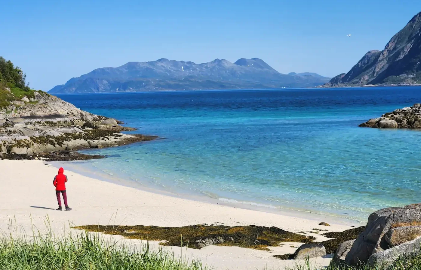 Visitor enjoying the view from Sommarøy beach overlooking a fjord.