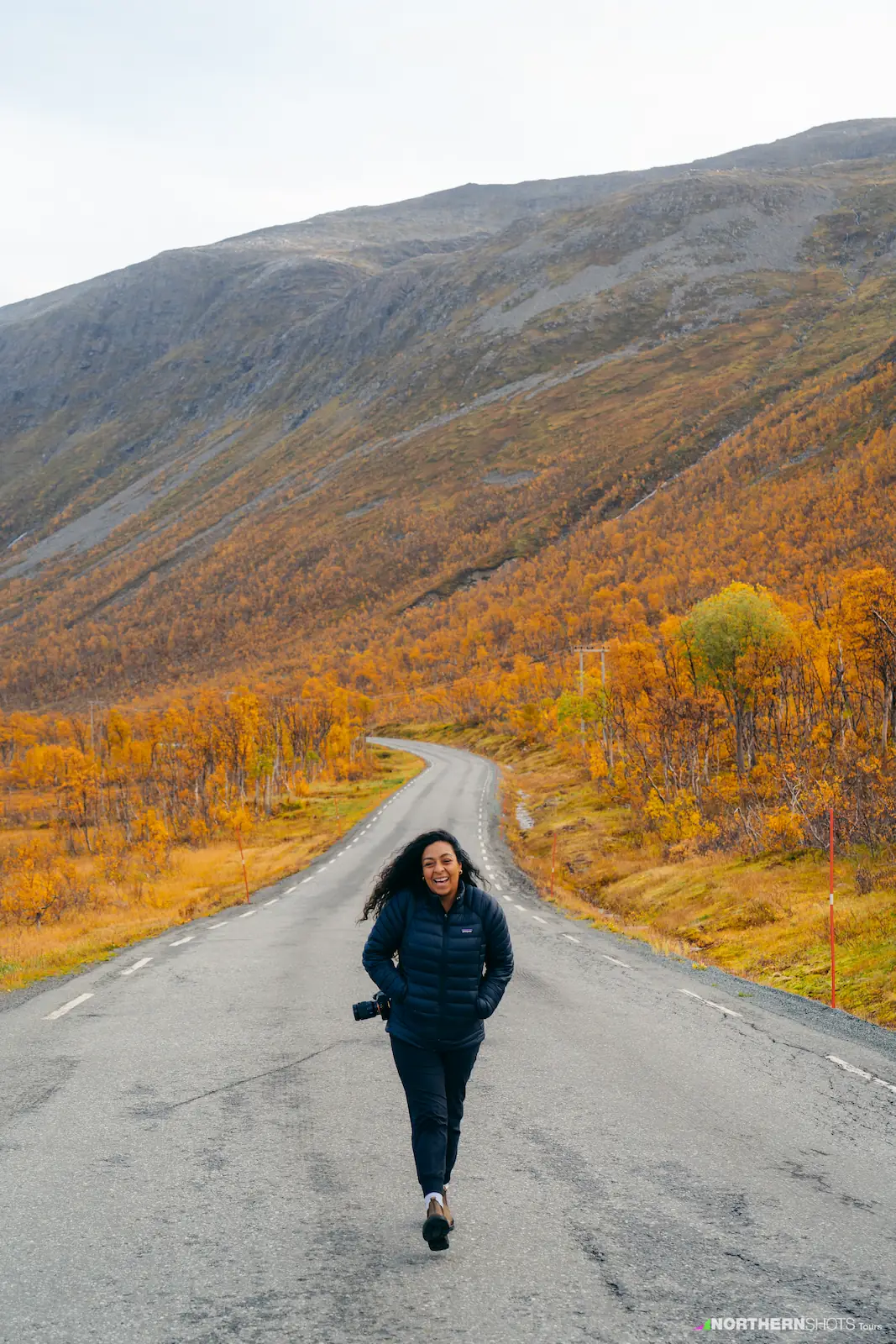 Guest walking on the empty road surrounded by vibrant autumn trees in the valley of Kattfjordeidet, Kvaløya.